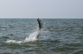 south carolina tarpon fishing