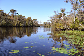 waccamaw river